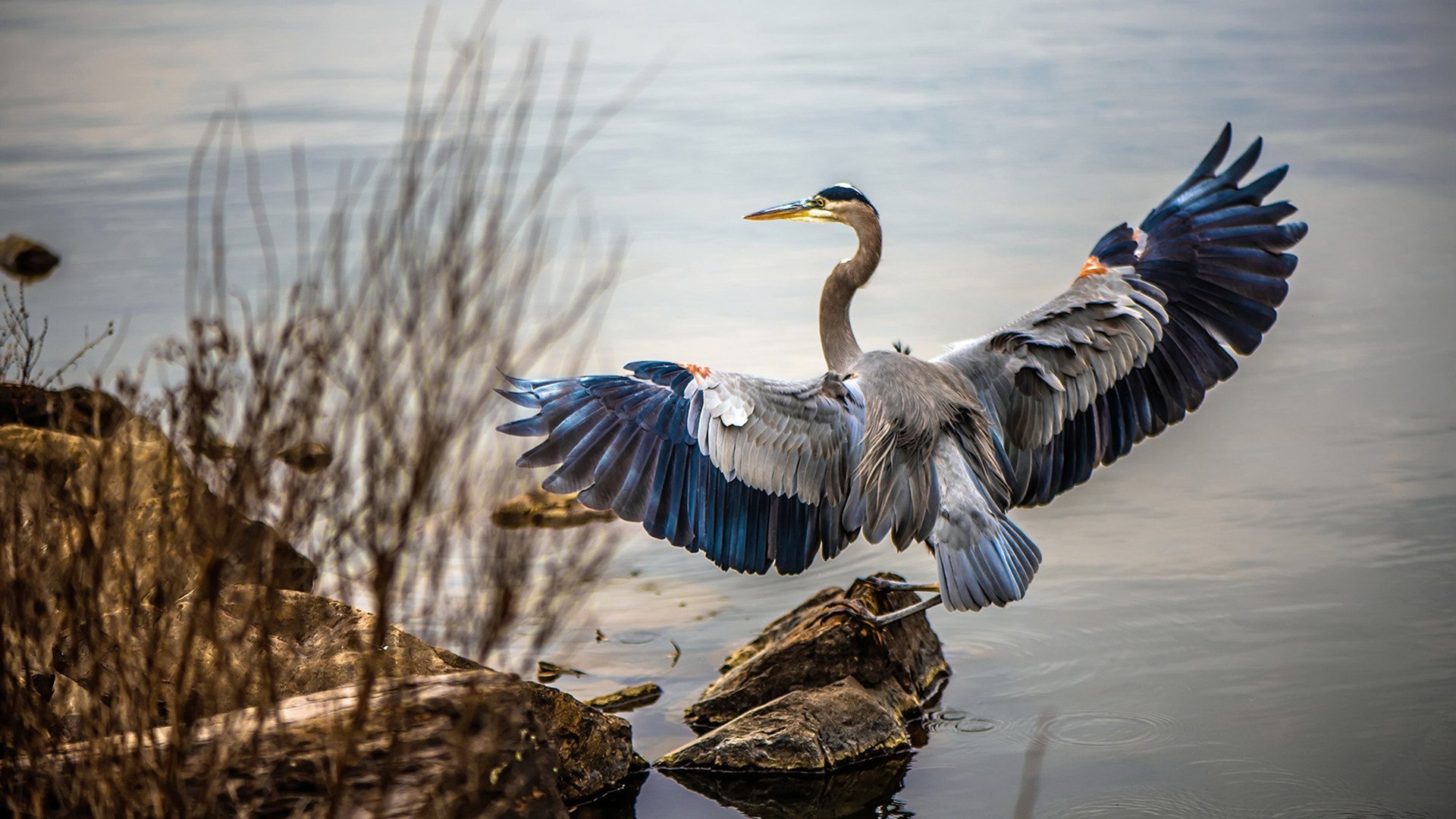 史上最经典“冠军夜”：燃爆全场的绝美回忆，zq冠军之夜