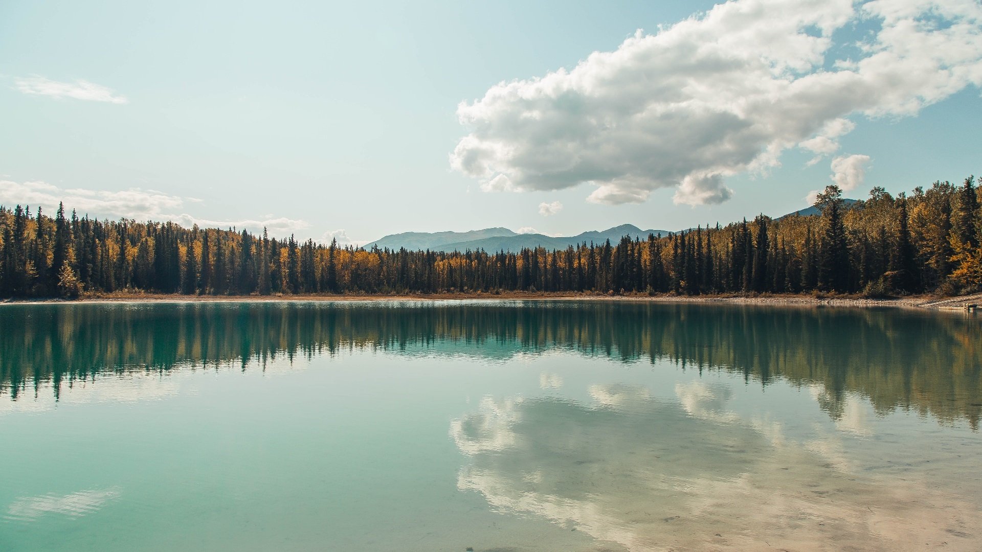 kaiyun体育app-国际田径赛事北京站吸引顶尖选手，国际田联世界田径挑战赛北京站